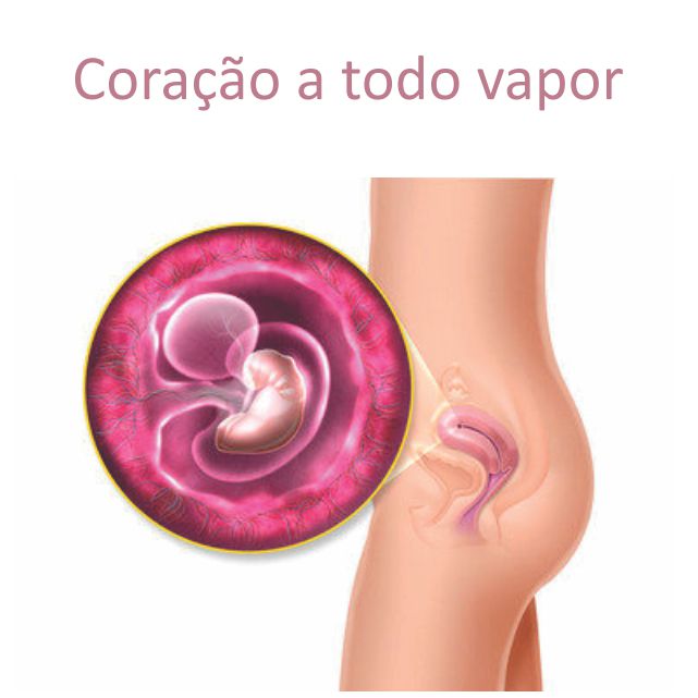 O recém-nascido escuta bem? Ele enxerga? Como se desenvolvem os sentidos do  bebê - Revista Crescer