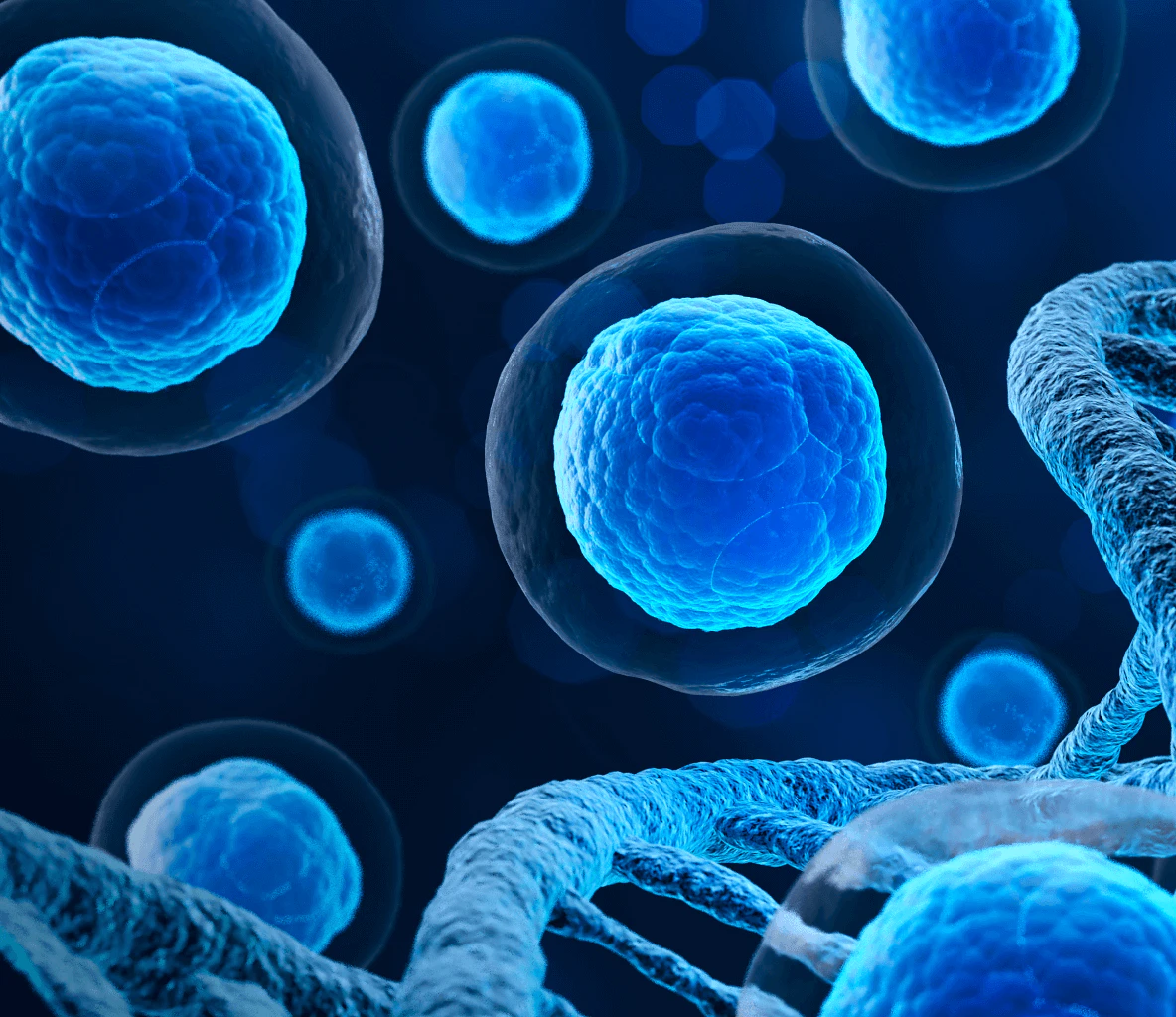 Ilustração científica 3D de células-tronco hematopoiéticas da medula óssea em tons azuis, mostrando células esféricas e estruturas de DNA para transplante e terapia celular