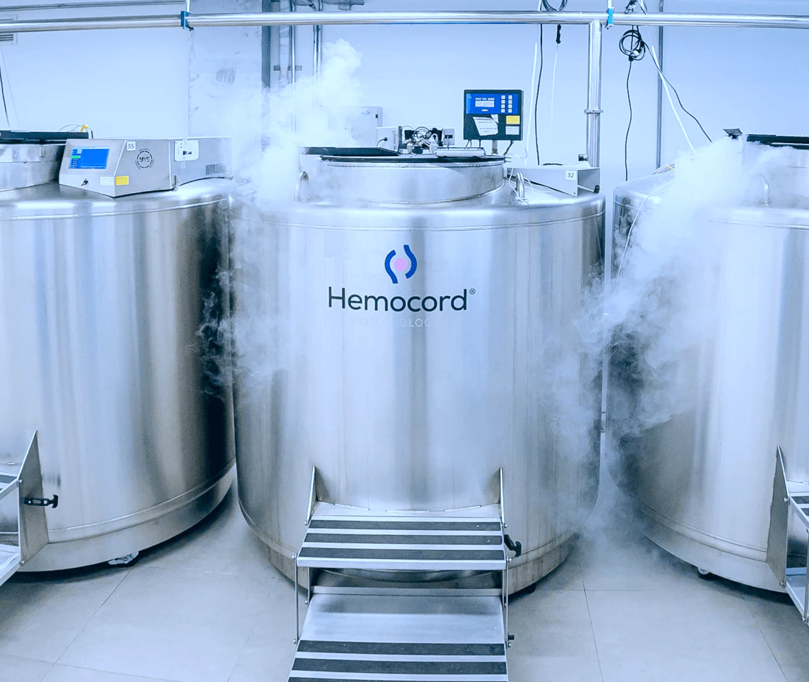 Sistema de tanques criogênicos de aço inoxidável da Hemocord com vapor de nitrogênio líquido, equipados com painéis de controle digital e sistema automatizado para armazenamento de sangue de cordão umbilical em laboratório de criopreservação